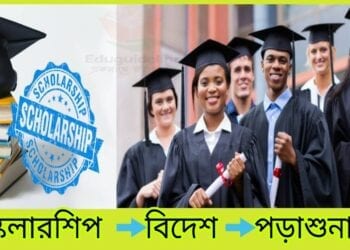 Scholarship To Study