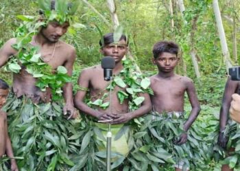 হিরো আলম