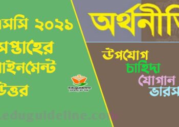 Economics assignment solution