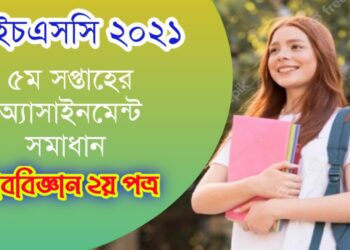 Accounting assignment eduguideline