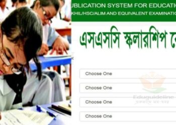 এসএসসি বোর্ড বৃত্তি রেজাল্ট ২০২২ প্রকাশিত  | All Board Scholarship Result PDF Download