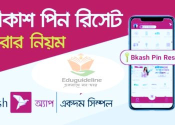 লক হওয়া বিকাশ অ্যাকাউন্টের পিন রিসেট করুন নিজে নিজেই