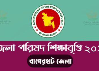 জেলা পরিষদ শিক্ষাবৃত্তি সার্কুলার – ২০২৩  | District Council Scholarship Circular